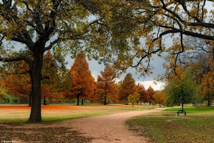 Autumn park path with colorful trees in Georgetown, Texas