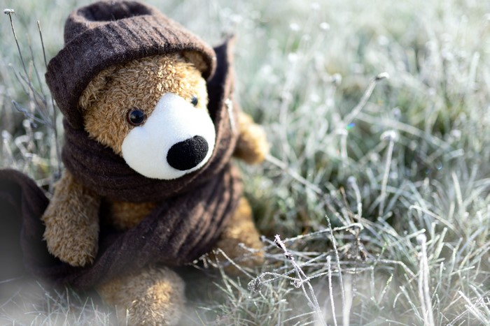 Teddy bear wearing a winter hat and scarf in the grass