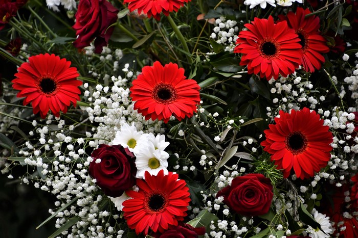 Red Gerberas, Roses, and White Chrysanthemums