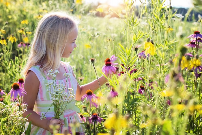 Blonde girl in a field of flowers