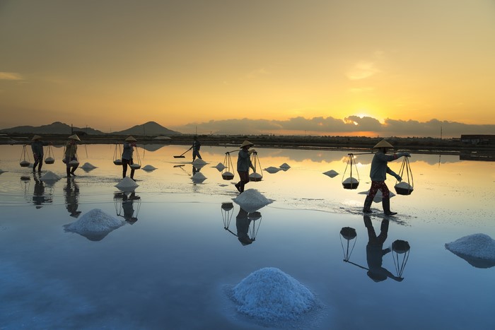 Salt workers carrying salt at sunset