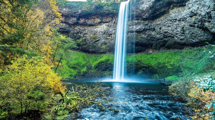 Waterfall cascading into a river in a forest