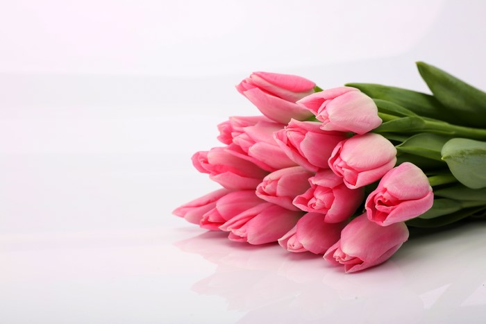 Bouquet of Pink Tulips
