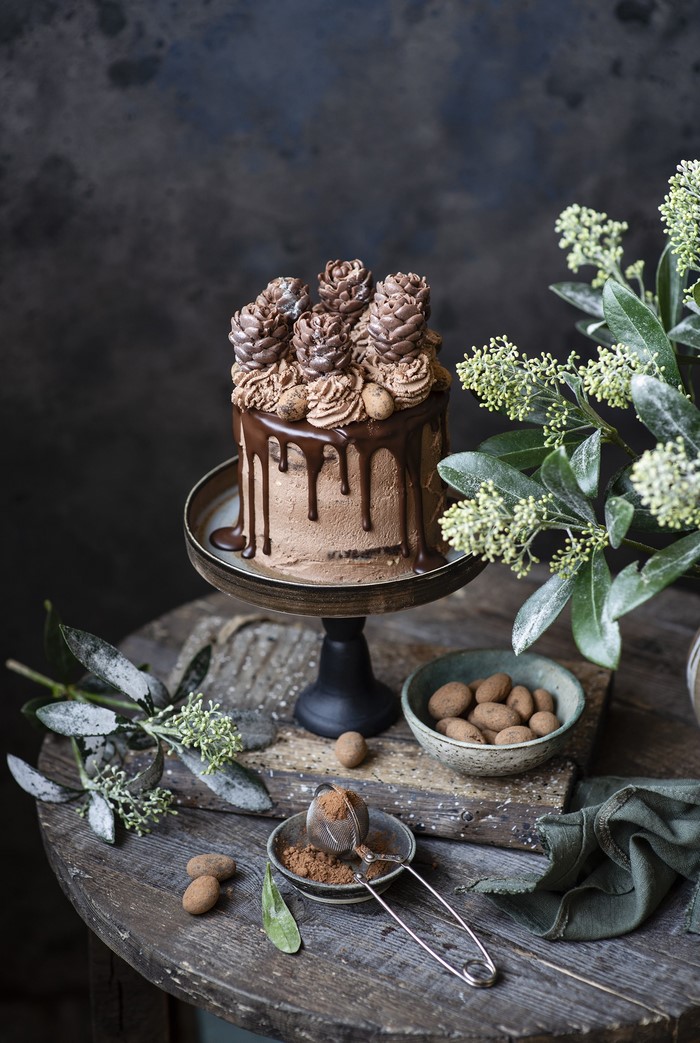 Chocolate cake with pine cone decorations and chocolate almonds