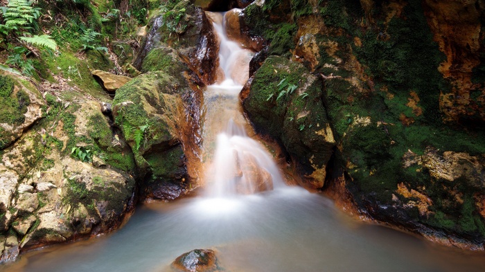 Waterfall cascading over mossy rocks in a forest
