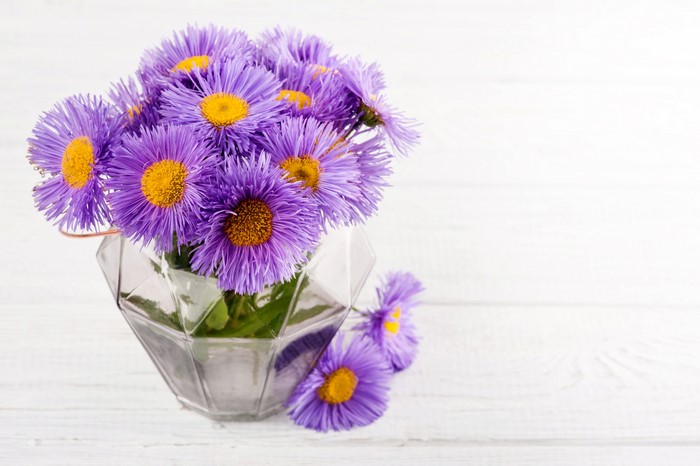 Purple flowers in a geometric vase