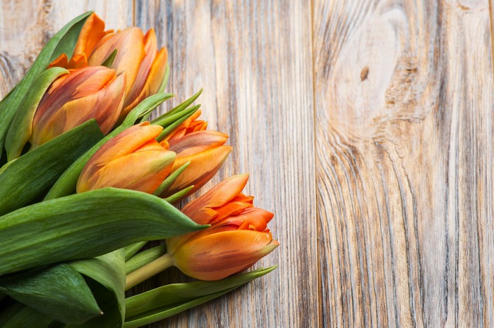 Orange Tulips Bouquet on Wood Planks