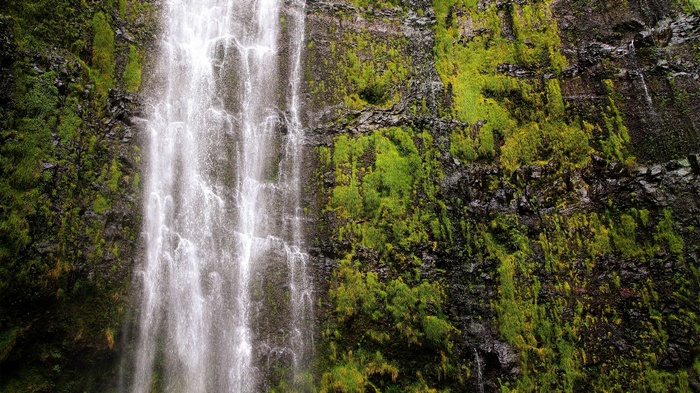 Waterfall cascading down a moss-covered cliff face
