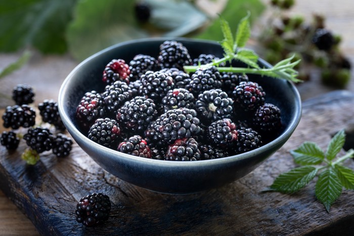 Blackberries in a Bowl