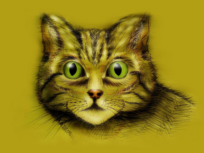 Painting of a Cat's Face