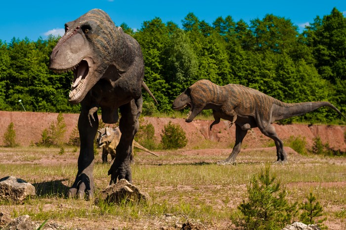 Tyrannosaurus rex sculptures in a park