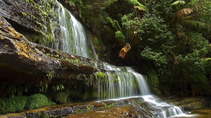 Waterfall cascading over moss-covered rocks in a forest
