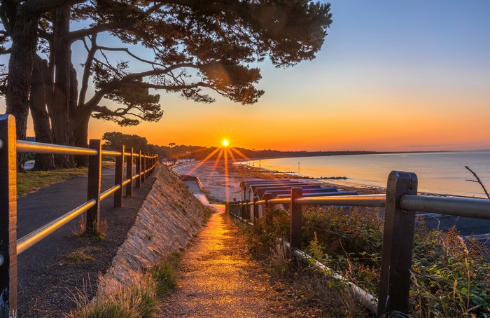 Sunrise over Mudeford Christchurch Coast with Trees and Fence
