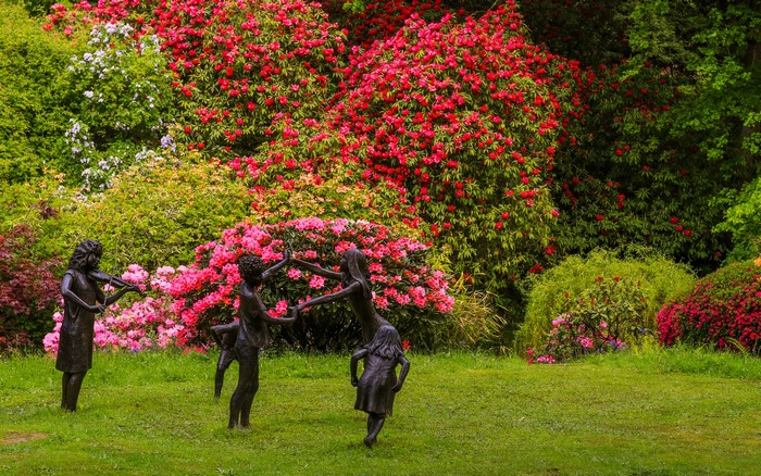 Ramster Gardens Surrey with Colorful Rhododendrons