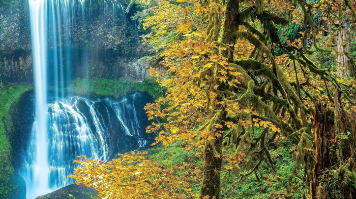 Waterfall in a moss-covered forest during autumn