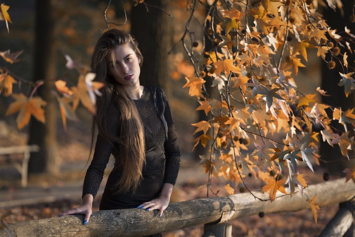 Federica Among Autumn Branches and Foliage