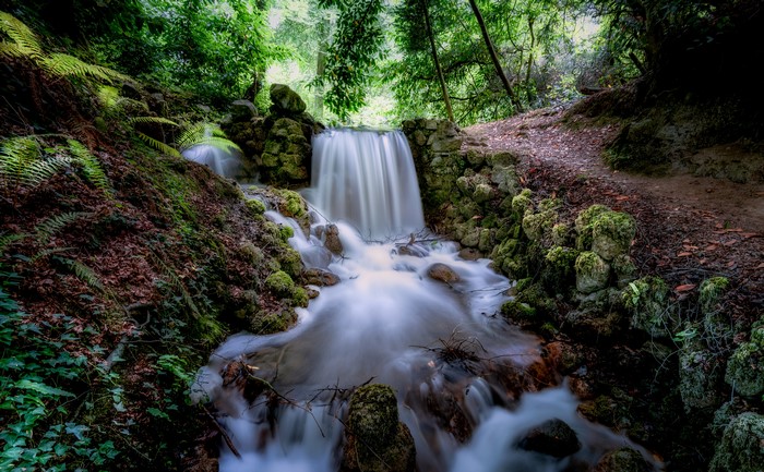 Waterfall in a mossy forest in Ireland