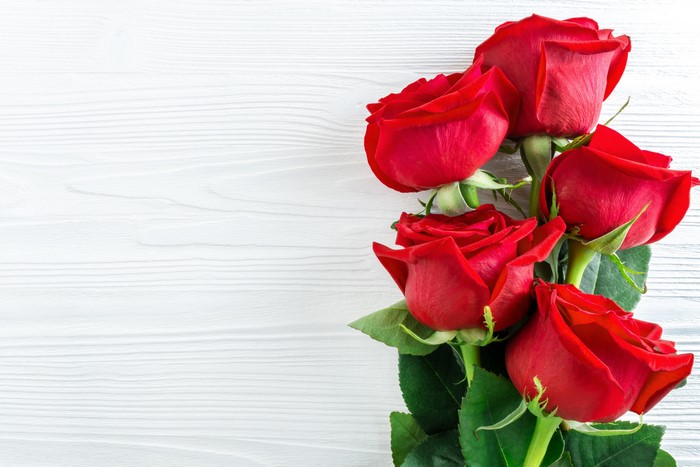 Red Roses on White Wooden Background