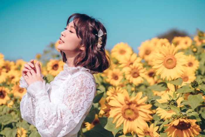 Asian Woman in White Lace Dress in Sunflower Field