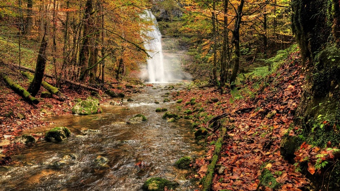 Waterfall in an autumn forest with a stream