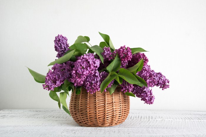 Lilac in a Wicker Basket