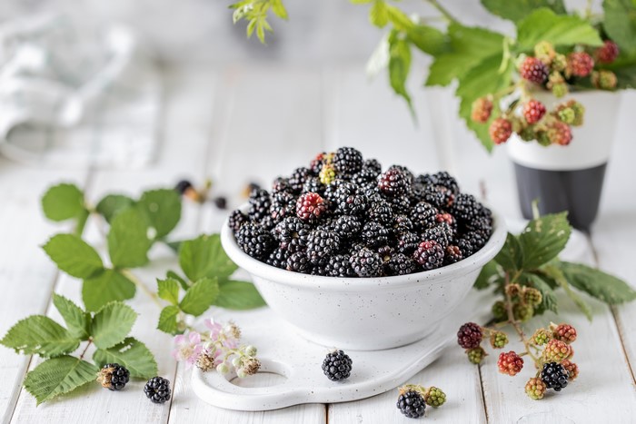 Blackberries in a bowl with leaves and flowers