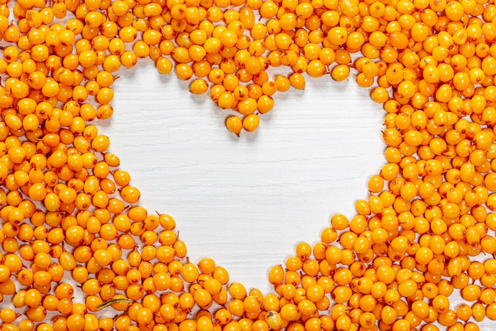 4K Sea-buckthorn berries in a heart shape