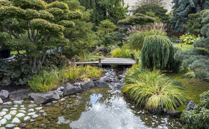 Kelowna Kasugai Gardens Stream and Trees