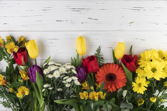 4K Colorful Gerberas and Tulips on Wood