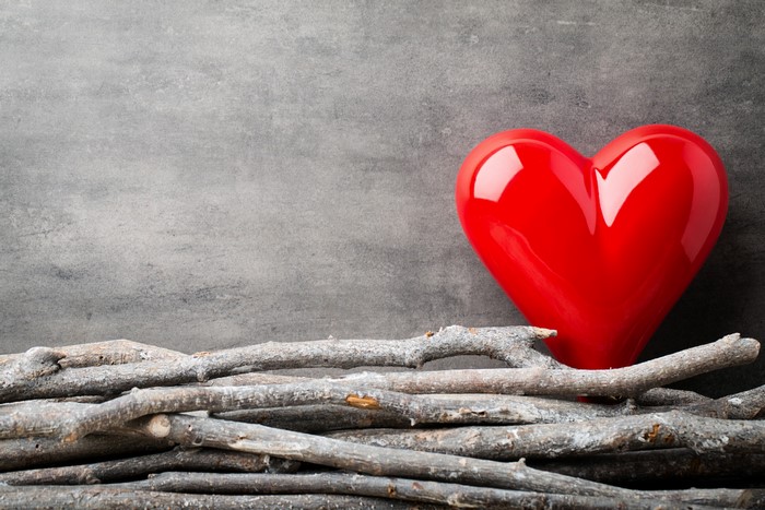 Red heart on branches with grey background