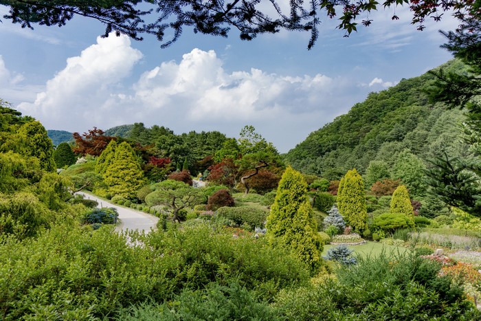 Beautiful Korean Garden with Lush Greenery and Mountains
