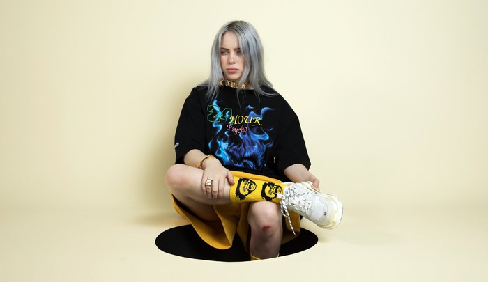 Billie Eilish sitting in a hole