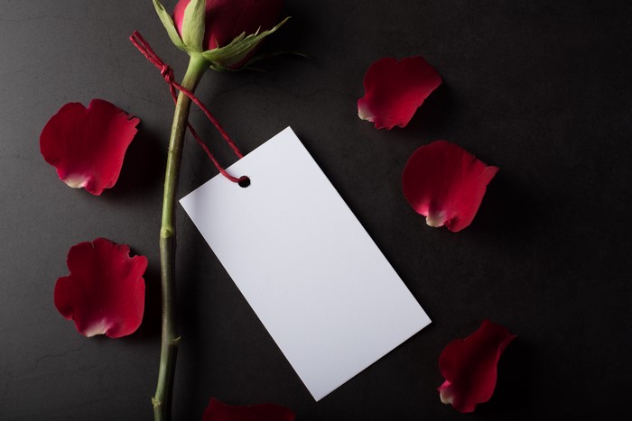 Red Rose with Blank Tag and Petals on Dark Background