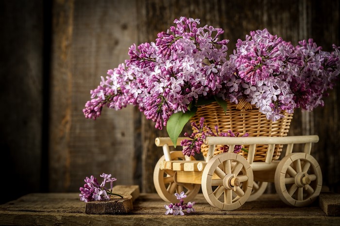 4K Lilac Bouquet in Wicker Basket