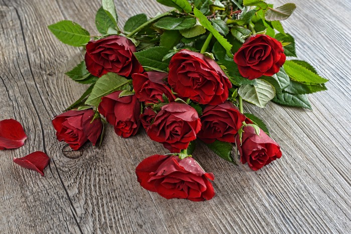 Bouquet of Red Roses on Wooden Surface