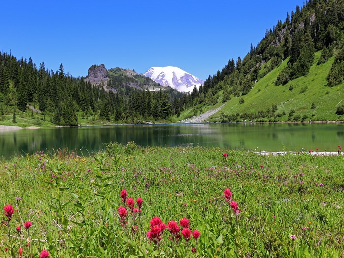Lake with Mount Rainier in Gifford Pinchot National Forest, Washington