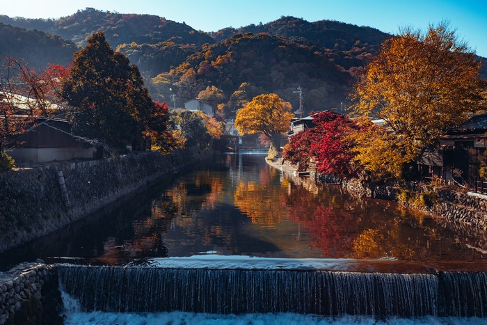 4K Autumn in Arashiyama Kyoto Japan