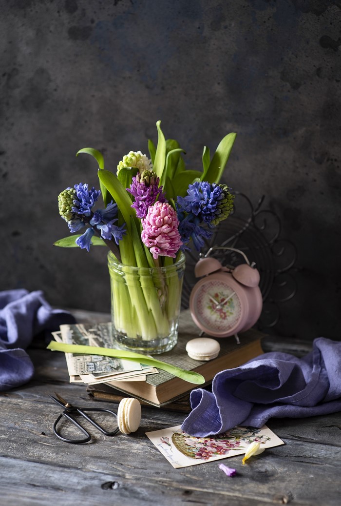 Still life with hyacinths and alarm clock