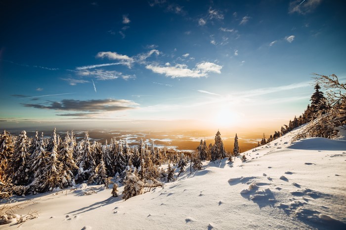 Winter forest scenery with snow and sunset sky