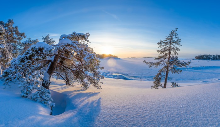 Winter morning in Finland with snow-covered trees