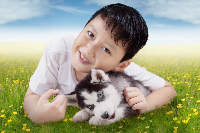 Boy with Husky Puppy in a Field