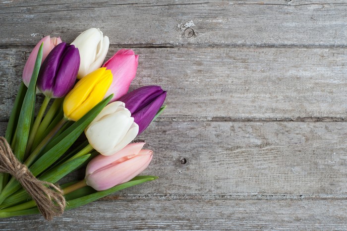 Multicolor tulips bouquet on wooden planks