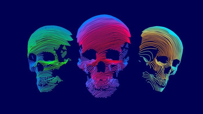 Three Skulls in Neon Lines