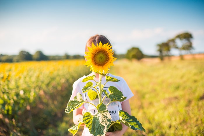 Girl holding a sunflower in a field