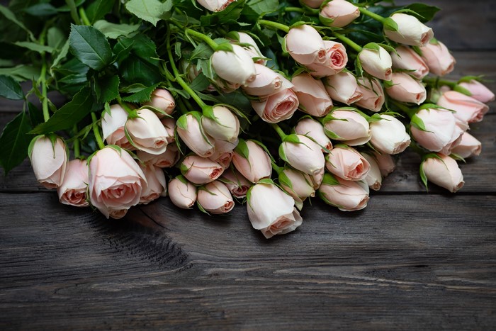Pink Roses on Dark Wood