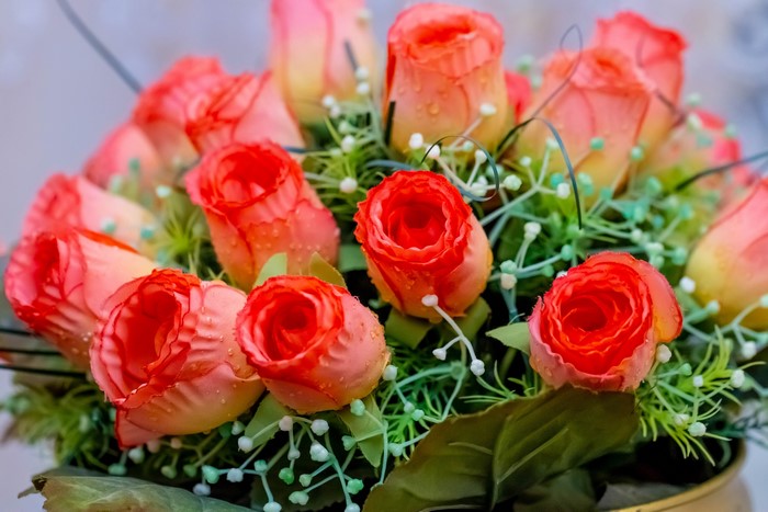 Bouquet of pink and orange roses with water droplets