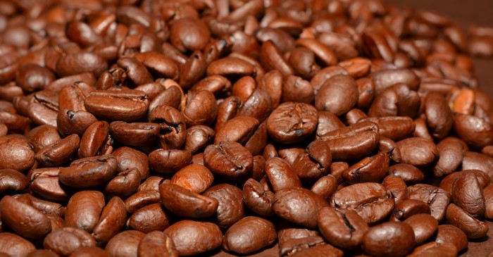 Many coffee beans, closeup