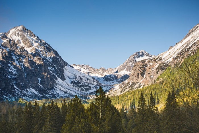 4K Tatras Mountains Forests Scenery Snow