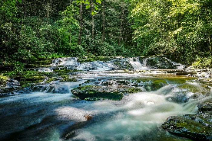 Waterfalls and mossy rocks in a forest