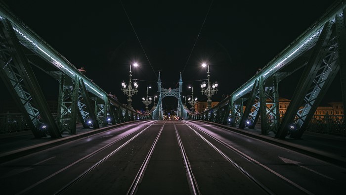 Liberty Bridge Budapest at Night